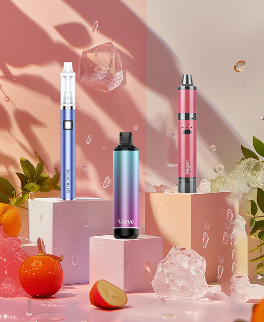 Yocan vs Yo Can